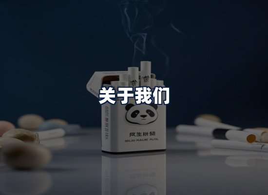 关于我们
